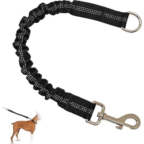 Reflective Shock-Resistant Leash, Elastic Leash Belt for Dogs Running (1/5)
