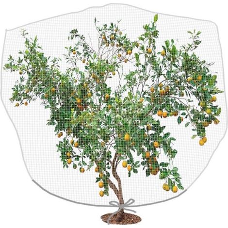 Filet anti-insectes et oiseaux avec cordon de serrage, protection pour plantes de jardin (1/5)