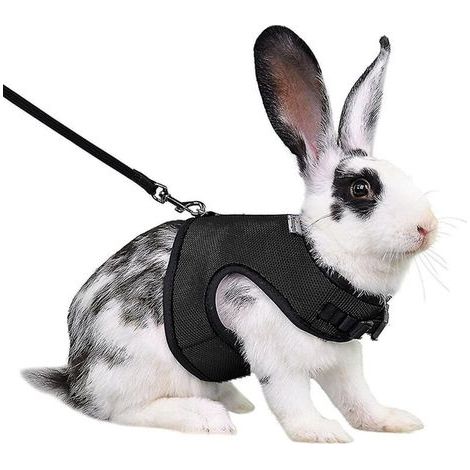 Harnais pour lapin, furet, rat et hamster, confortable et réglable, avec laisse et harnais en maille douce, accessoires pour animaux de compagnie - Taille S - Noir (1/3)