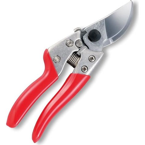 Sécateur professionnel, cisaille de jardin robuste pour plantes et branches (1/5)