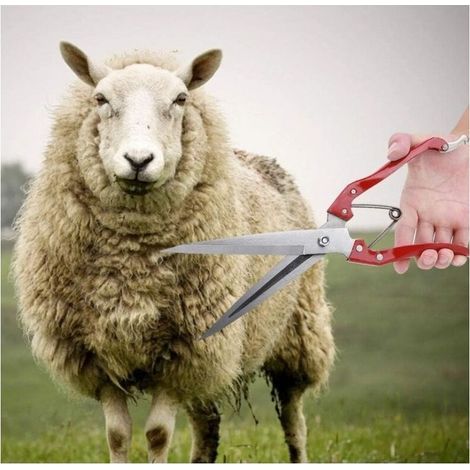 Manuelle de Mouton, Tondeuses à Laine de Chèvre et de Mouton, Ciseaux de Cisaillement à Main en Acier Inoxydable Ciseaux de Coupe de Laine de Cisaillement de Mouton Multifonctionnels (1/4)