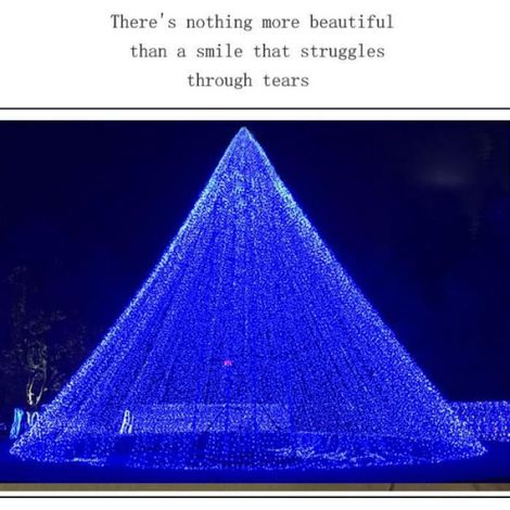 Guirlande Lumineuse Guirlande LED, 100m 600 LED AC 220V 8 Modes, Décoration Noël Chambre Mariage Jardin (blue) (1/4)