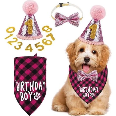 Décoration d'anniversaire pour chien - Chapeau pour animal de compagnie rose (1/5)