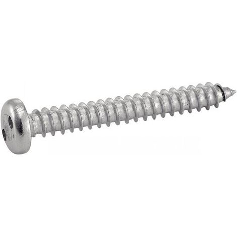 100 Vis à Tôle Tête Cylindrique Inviolable Snake Eyes 4.8 x 32 mm - TYPE DIN 7981 - Inox A2 - D-Work