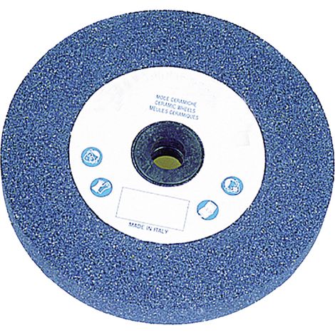MOLA ABRASIVA ø 200 x 20 F. 20 gr.24