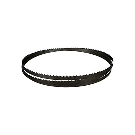 Scheppach - Lame originale - 1490 x 6 x 0,36 mm - Lame de scie à ruban avec 6 dents par pouce - Convient pour scie à ruban Scheppach BASA1 - Ruban de rechange 7901501606