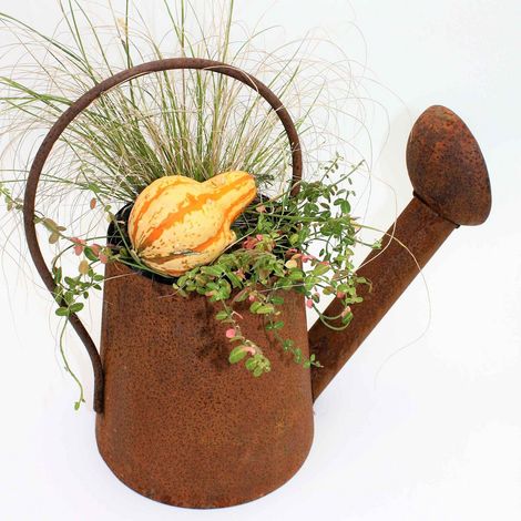 Arrosoir Décoratif à Planter en Métal Patiné Effet Rouille pour Jardin et Salon 40 x 40 cm - PANGIVO (1/3)