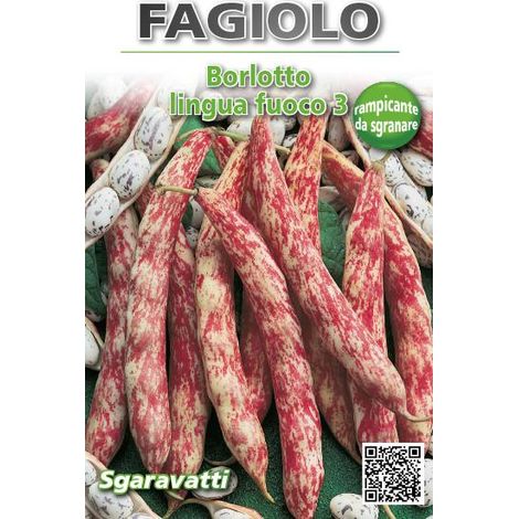 Semi per Fagioli Fagiolo Borlotto Rampicante Lingua di Fuoco 250 3 gr