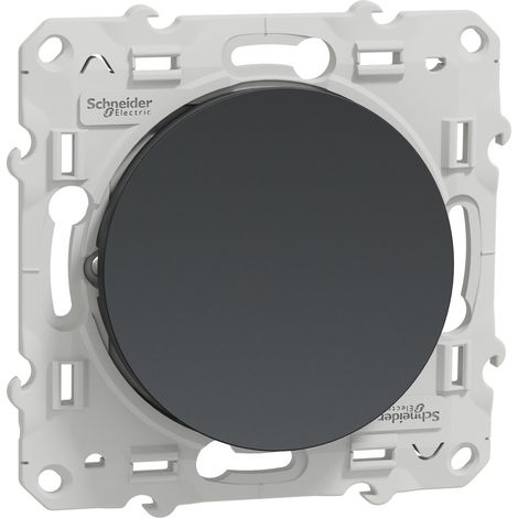 Schneider Electric Odace interruttore a doppio interruttore antracite 10A