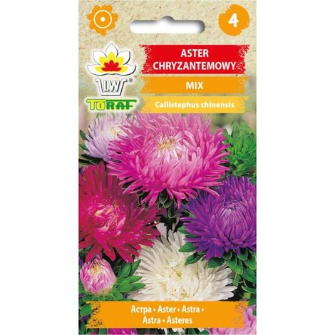 Mezcla de crisantemos aster 1g