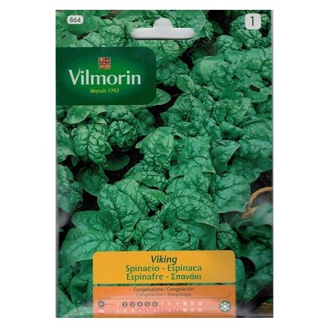Graines d'pinards Viking Vikorin 15g