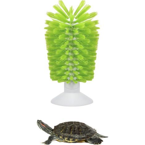 Brosse de nettoyage en forme de coquille de tortue verte avec ventouse, outils de cuisine pour la maison, brosse exfoliante pour tortue accessoires de réservoir (1/5)