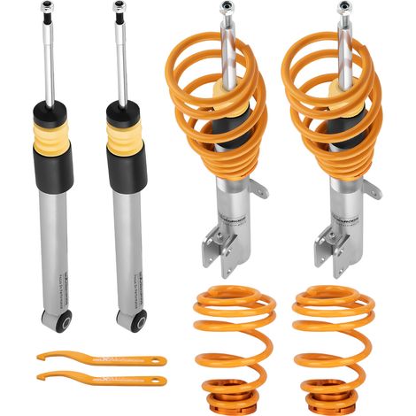 Coilovers Lowering Kit for Renault Clio mk3 2005-2012 1.2 1.4 1.5 1.6 16V