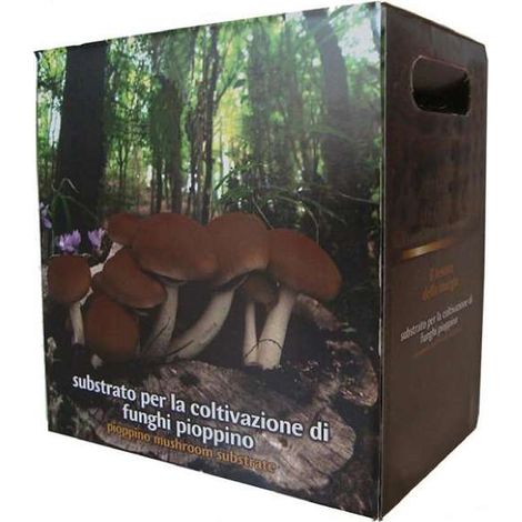 Substrato Coltivazione Funghi Pioppino - Ideale per Casa