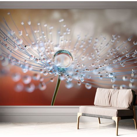 Selbstklebende Tapete - Wanddekoration Wohnzimmer - Tapete Schlafzimmer Ein Tropfen auf einer Pusteblume 312x219 cm (1/5)