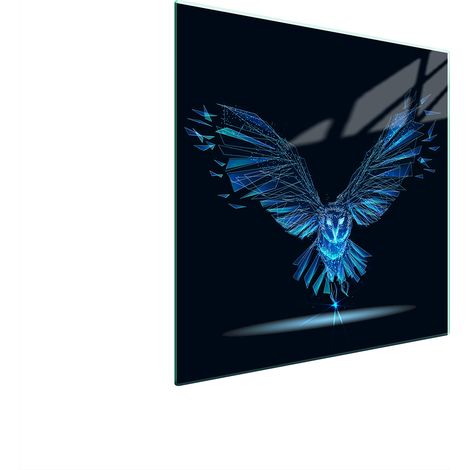 PLACA PROTECTORA DE VIDRIO PARA ESTUFA 50x52 BIRD (1/5)