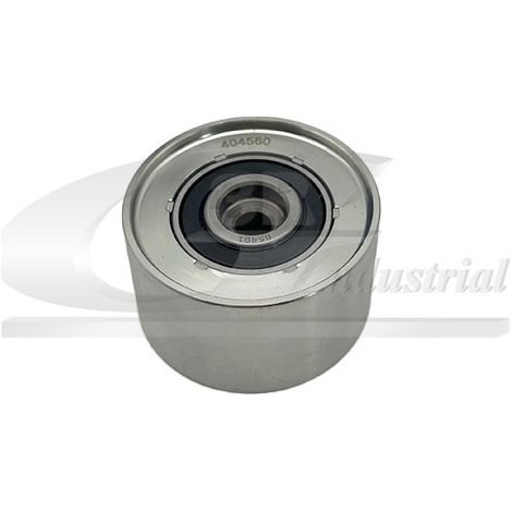 3RG 13754 RODILLO TENSOR