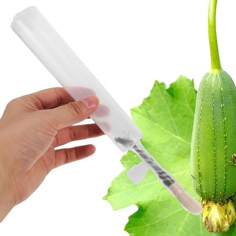 Penna impollinatrice - Strumento professionale per impollinare le piante - Pratica ed efficiente - Per l'impollinazione dei fiori - Gamma di impollinatori manuali - Giardino - Attrezzi da giardino - P (1/5)