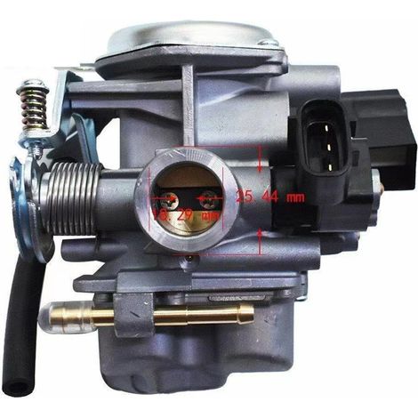 S-giant Carburateur pour Ruckus 50 NPS50 NPS50S 2008 - 2014 16100 - GGA - 672 - Compatible avec moto (1/5)