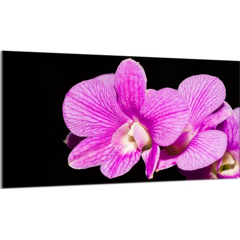 Glasschutzplatte für den Herd 90x52 Orchidea (1/5)