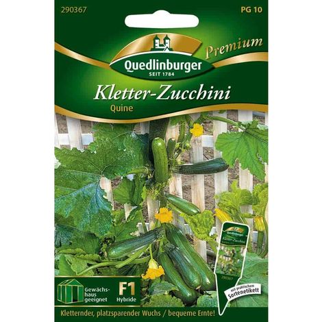 Quedlinburger Kletter-Zucchini Quine - Gemüsesamen (1/2)