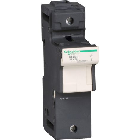 TeSys DF LS1/GK1 Porte-fus n 125a pour fusible 22 x 58 mm SCHNEIDER DF22N