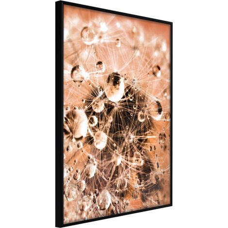 Affiche Murale Encadrée "Drops on Dandelion" 21 x 30 cm Noir