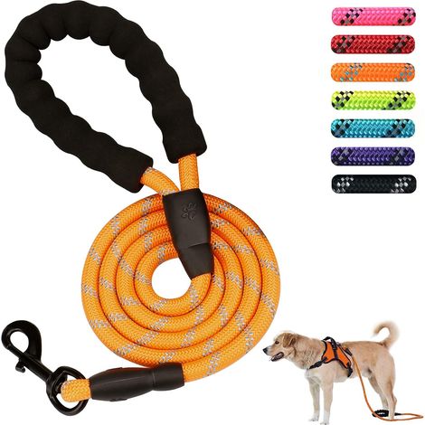 Laisse puissante pour animaux de compagnie de 5 pi 1,5 m (orange)
