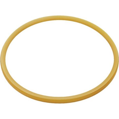 Anello paraolio ZF 0734317057