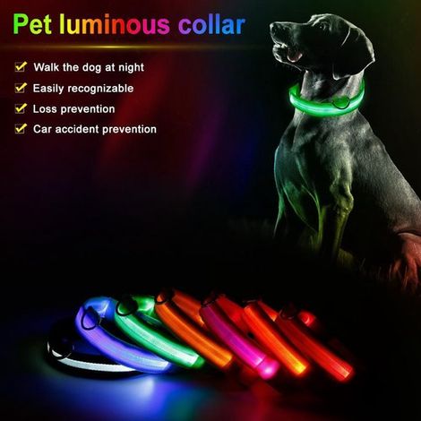 Vente en gros de colliers lumineux LED rechargeables pour chiens, colliers phosphorescents pour animaux de compagnie, laisses, colliers anti-boue et accessoires pour animaux de compagnie.