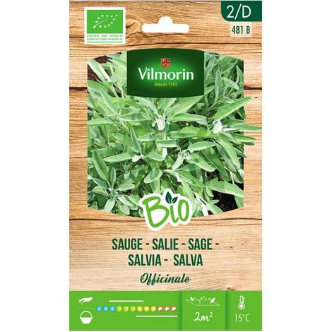 VILMORIN JARDÍN BIO Semillas de Salvia Sobre 1 gr