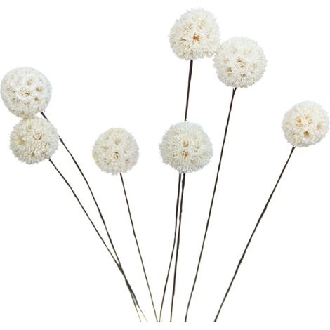 Bouquets de fleurs séchées artificielles Billy Ball, décoration pour maison et jardin, lot de fleurs décoratives. (1/5)