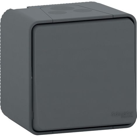 Double va-et-vient gris saillie Mureva Styl IP55 IK08