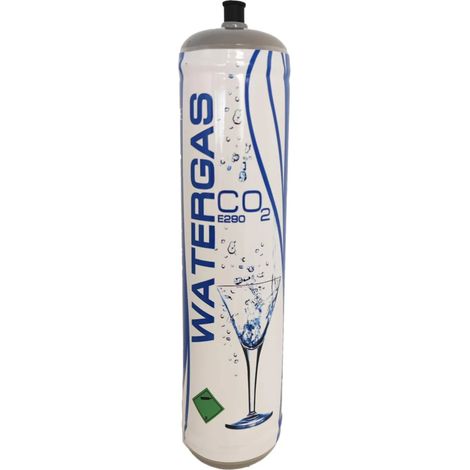 Petite Bouteille De Co2 De Rechange De 600 Grammes Pour Distributeur D'eau Gazeuse (1/3)