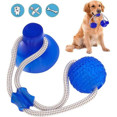 Balle en caoutchouc pour animaux de compagnie avec ventouse, qui joue toute seule, corde interactive bleue (1/5)