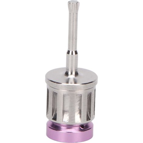Tournevis pour Implants Dentaires en Acier Inoxydable, Résistant à la Chaleur, Outil Portable pour Dentiste - 20mm (1/5)