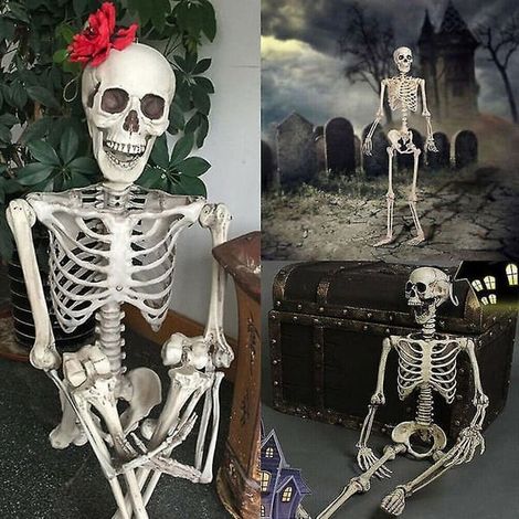 Halloween Squelette Humain Surdimensionné Posable Décoration Pleine Taille Accessoire de Fête