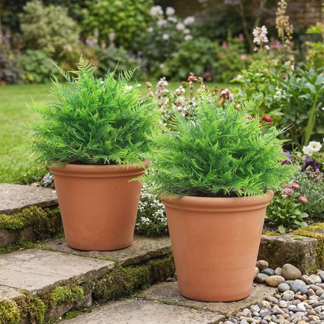 Fougères de Boston artificielles, résistantes aux UV, avec tuteurs, lot de 2, 60 cm, pour jardin ou terrasse. (1/5)