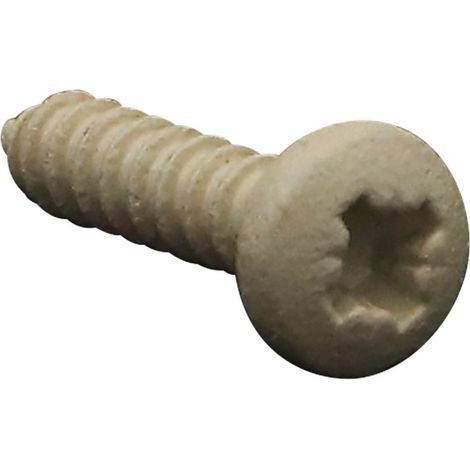 Vis tôle Inox A2 tête cylindrique bombée large Pozi 3.5X16 BEIGE RAL1015 ivoire clair-1 pièce
