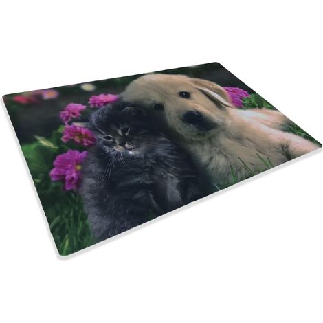 TAPIS PAILLASSON NUMÉRIQUE AMIS CM.40X60 CHIEN CHAT FLEUR (1/2)