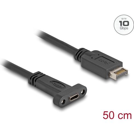 Delock Cable USB 10 Gbps Key USB Tipo-E A de 20 pines macho a USB Type-C⢠hembra de montaje en panel de 50 cm