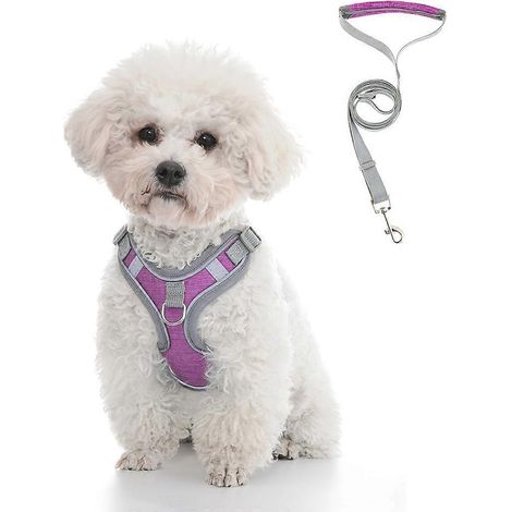 Ensemble laisse-harnais pour chiens de petite et moyenne taille - Harnais réfléchissant ajustable - Taille XS (1/5)