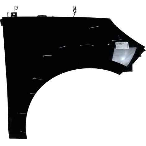 Aile Avant Droit RENAULT Scenic [PRODUIT D'OCCASION]♻️631002345r