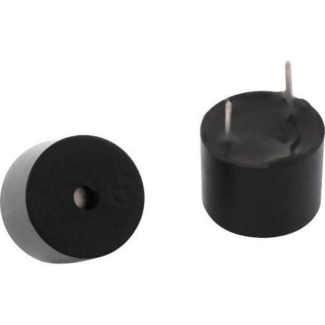 2 pièces DC 5 V TMB12A05 actif été magnétique Dauerton Warnton (0de7671c2f0a87aef1fcc66b3a5aac1d) (1/2)