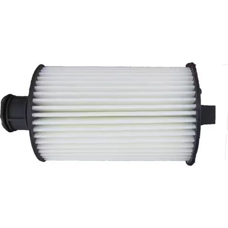 Filtre à Huile Compatible avec Range Rover (2013) & Range Rover Sport (2014) - LR011279, C2D3670 (1/4)