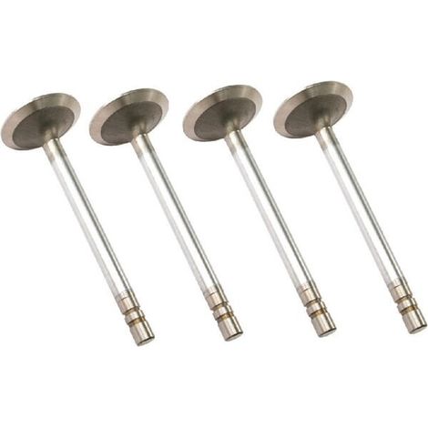 Valvola aspirazione VAPORMATIC VPA1382