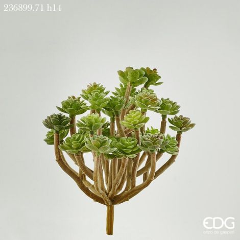 EDG Enzo De Gasperi Succulenta Pick H 14 Cm Light Green – Pianta Artificiale Decorativa Realistica Design Moderno