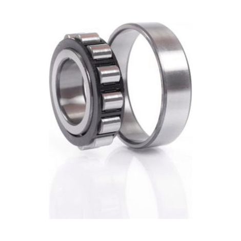 Cuscinetto a rulli cilindrici N320 ECP 47mm OD 215mm ID 100mm foro cilindrico SKF