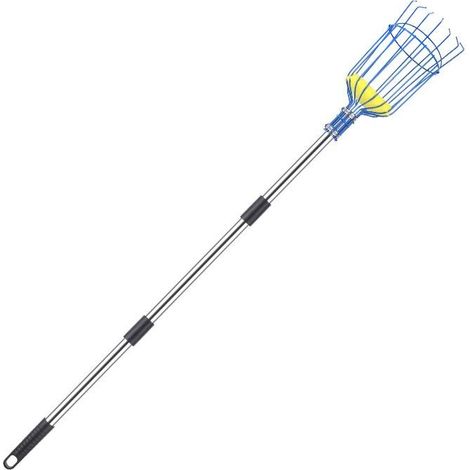 Raccoglifrutta con cestello e manico telescopico, 4 m, acciaio inox, per arance e mele