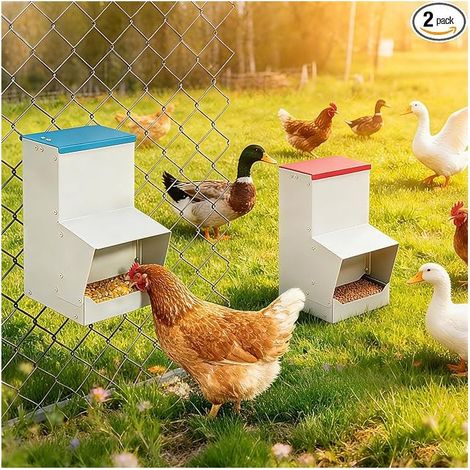 10L Metal Chicken Food Dispenser - Rain Proof - Outdoor  Poultry Feeder, Hanging Food Bowl (1/5)